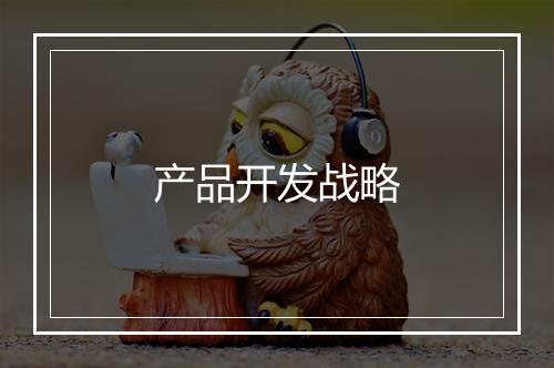 产品开发战略