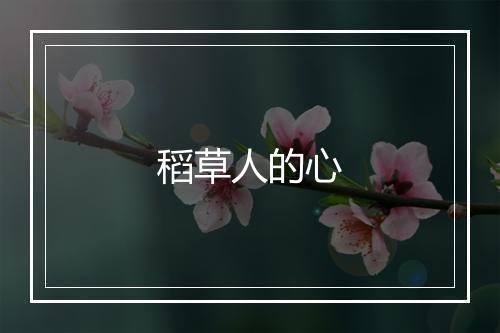 稻草人的心