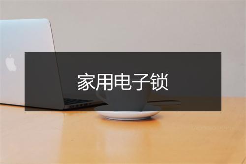 家用电子锁