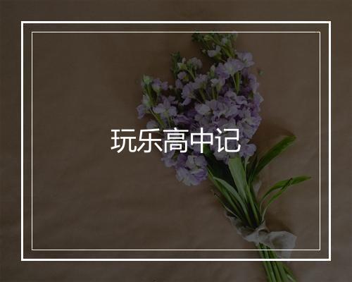 玩乐高中记