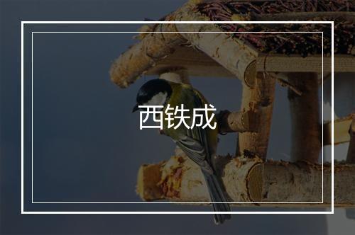 西铁成