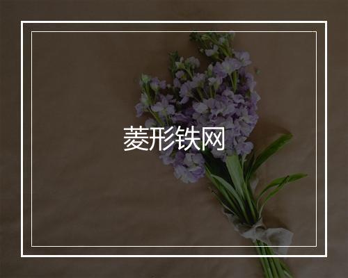 菱形铁网