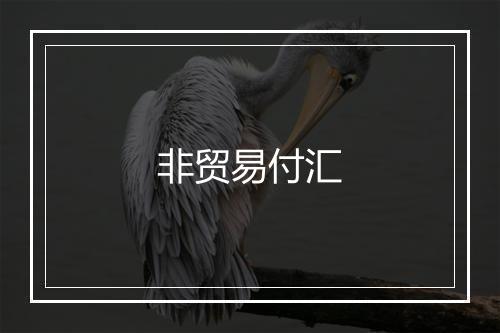 非贸易付汇