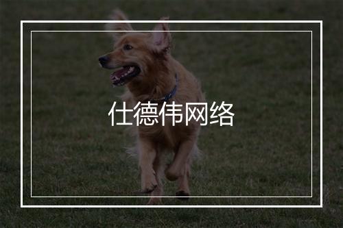 仕德伟网络