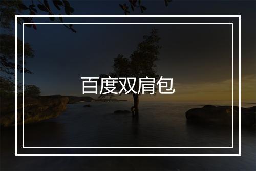 百度双肩包