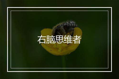 右脑思维者