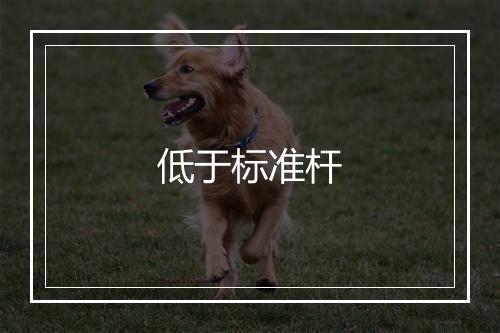 低于标准杆