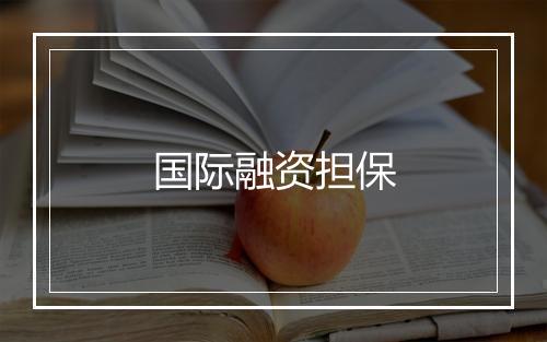 国际融资担保