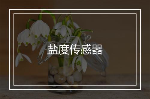 盐度传感器