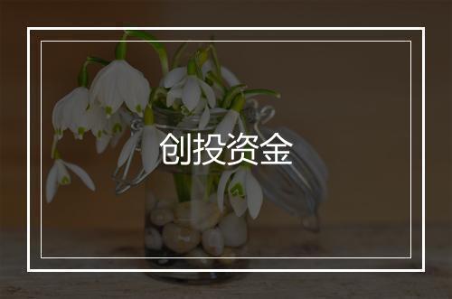 创投资金