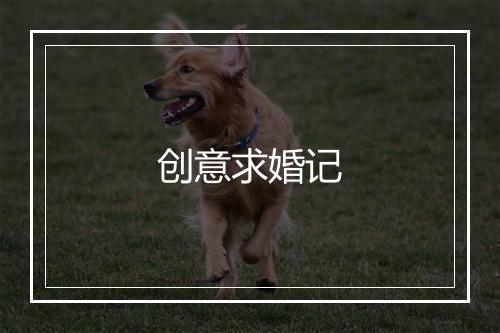 创意求婚记