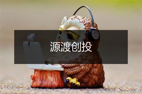 源渡创投