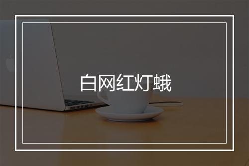 白网红灯蛾