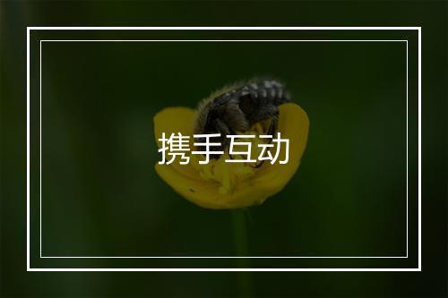 携手互动