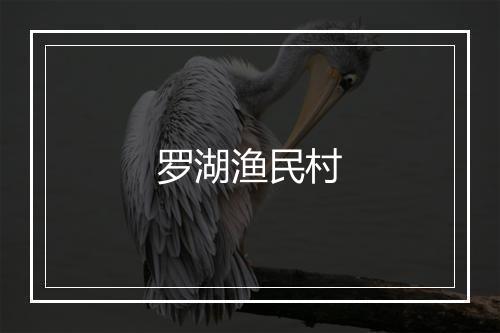 罗湖渔民村