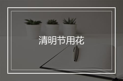 清明节用花