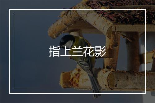 指上兰花影