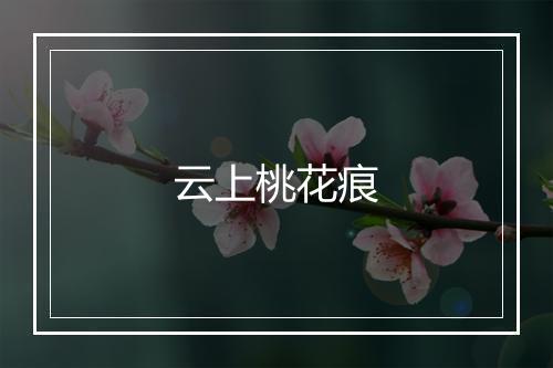 云上桃花痕