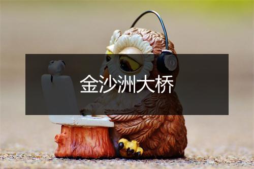 金沙洲大桥