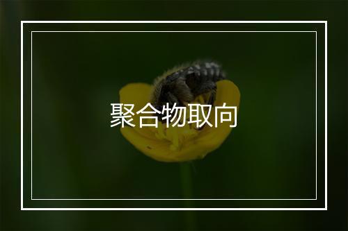 聚合物取向