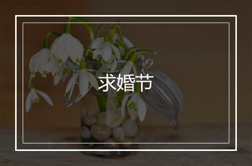 求婚节