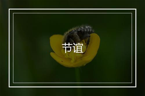 节谊