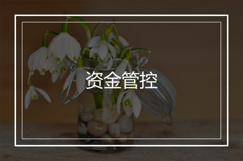 资金管控