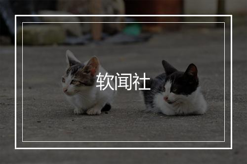 软闻社