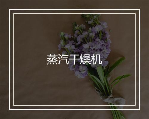 蒸汽干燥机