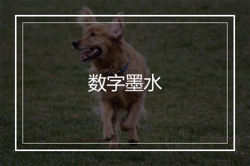 数字墨水