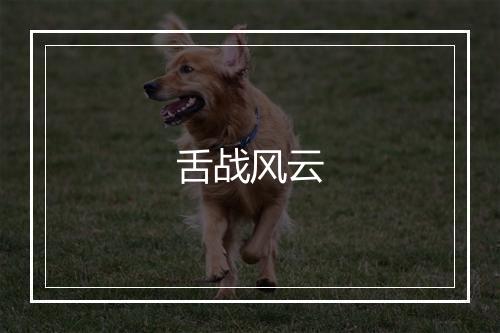 舌战风云