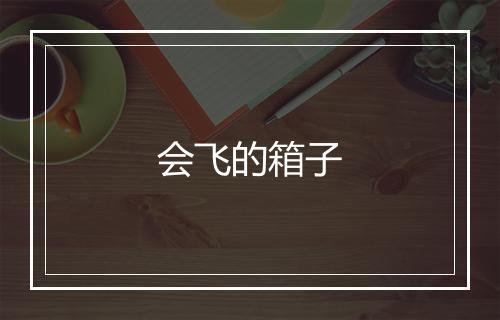 会飞的箱子