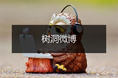 树洞微博