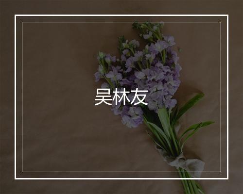 吴林友