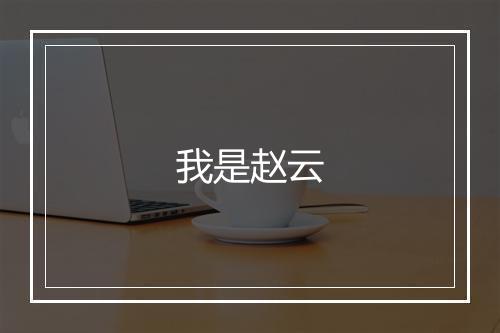 我是赵云