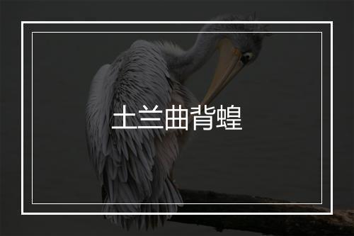 土兰曲背蝗