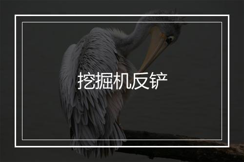 挖掘机反铲