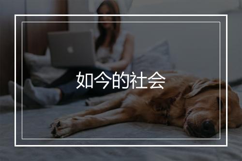 如今的社会