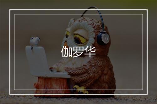 伽罗华