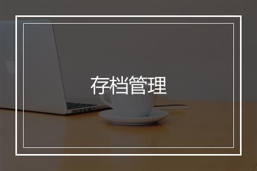 存档管理