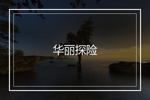 华丽探险