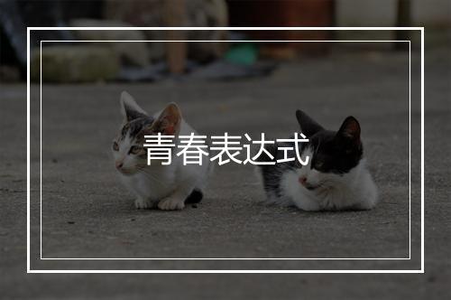 青春表达式