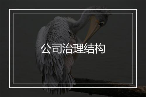 公司治理结构