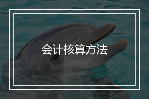 会计核算方法