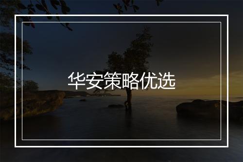 华安策略优选