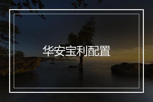 华安宝利配置