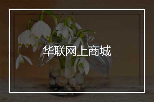 华联网上商城