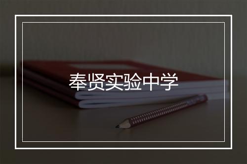 奉贤实验中学