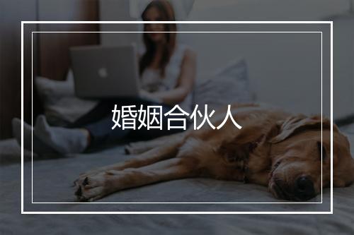 婚姻合伙人