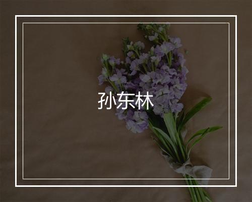 孙东林